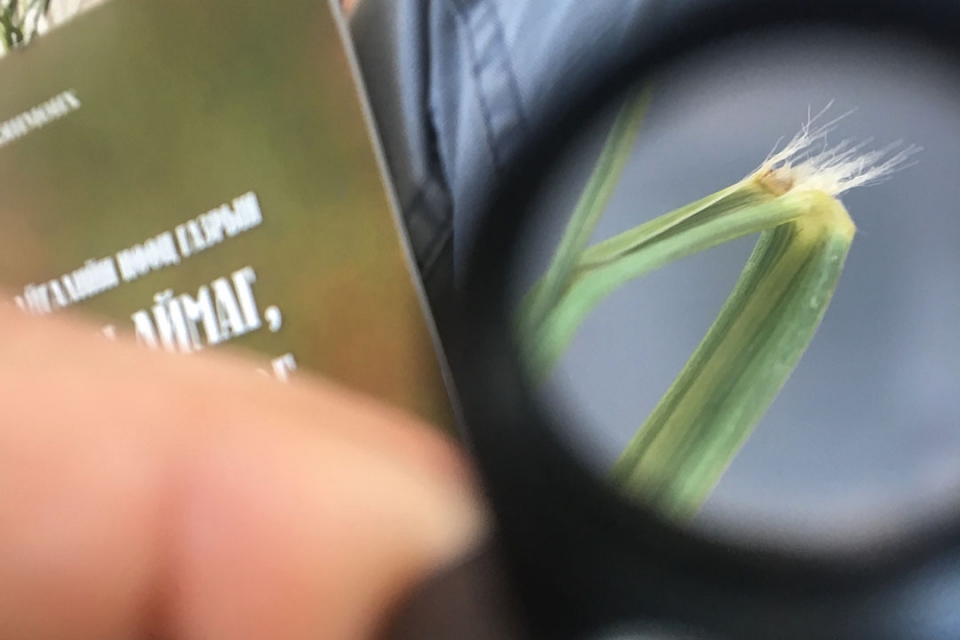 A piece of glass magnified