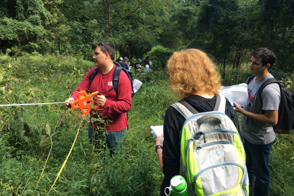 Students doing research in a forest