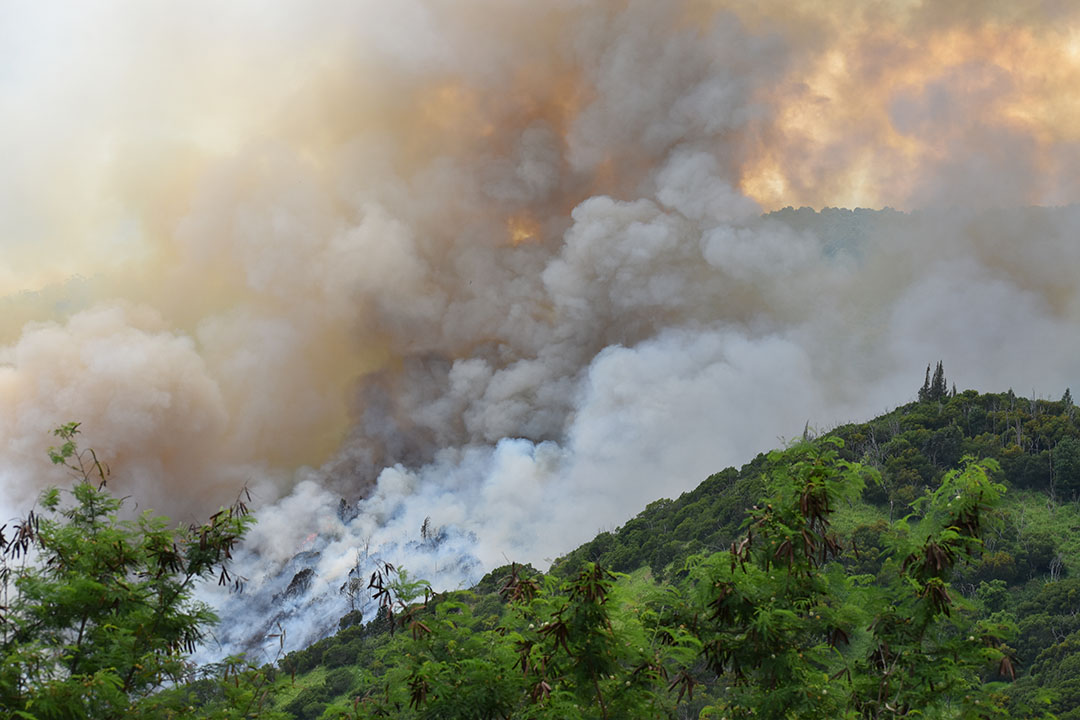 Image of wildfire smoke covering a mountain in Maui