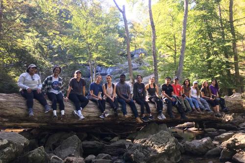 A group of students in a forest sitting together on a log over a stream